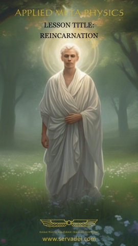Cover image, Reincarnation