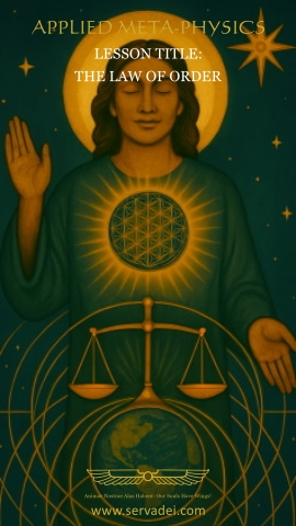 Cover image, The Law of Order
